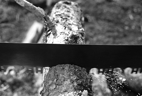 Cutting Firewood