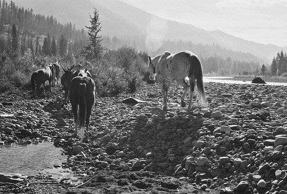 Casper and the Riverbottoms
