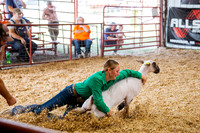 Thursday, September 4, 2025 sheep and goats