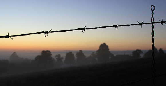 Barbed Wire Sunrise