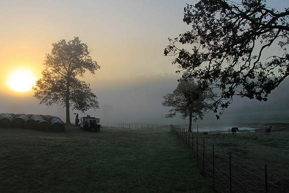 Farm Morning
