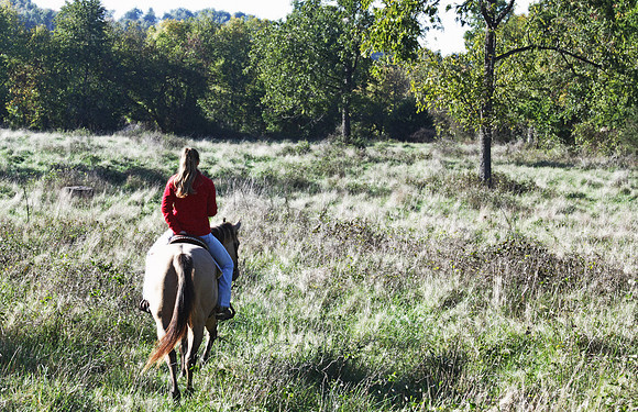 Morning Ride