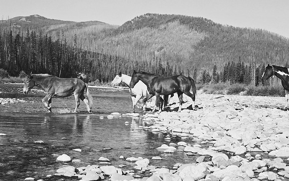 Crossing Downriver