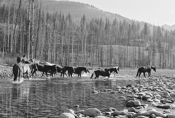Riverbottoms II