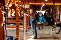Saturday, September 7, 2024.  Premium auctions.