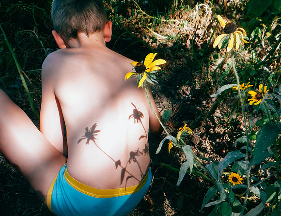 Summer garden