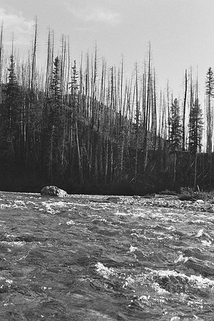 Flowing River