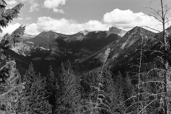 Mud Lake Mtn View