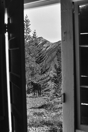 Mud Lake Lookout