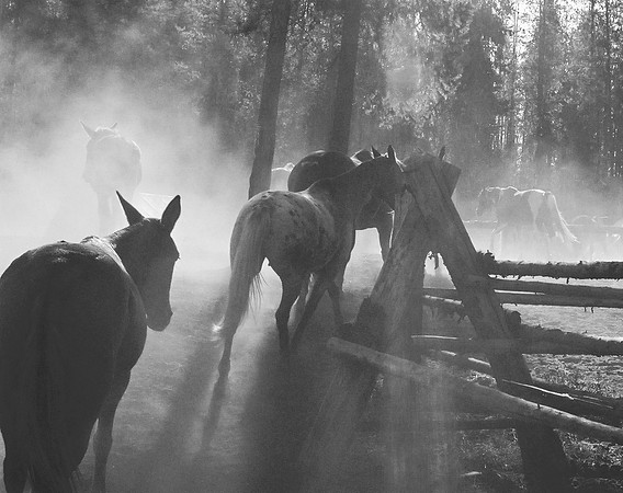 Dusty Getaway